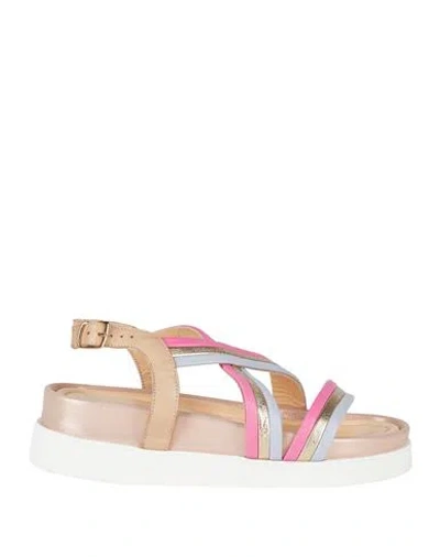 Apepazza Woman Sandals Light Pink Size 7 Leather In Multi