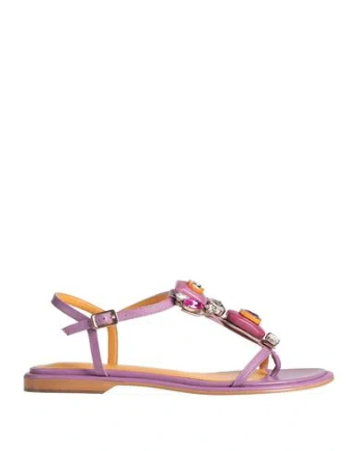 Apepazza Woman Thong Sandal Mauve Size 9 Leather In Purple