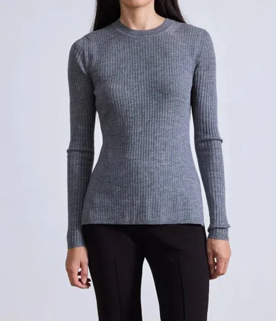 Apiece Apart Fine Gauge Second Skin Tee In Grey In Gray