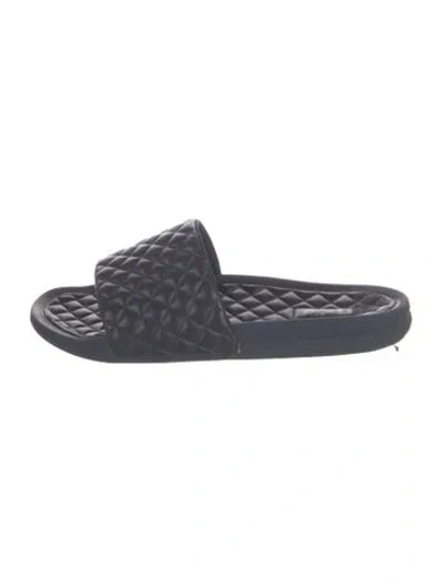 Pre-owned Apl Athletic Propulsion Labs Leather Graphic Print Slides In Blue
