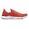 Apl Athletic Propulsion Labs Athletic Propulsion Labs Techloom Wave Sneaker In Multi