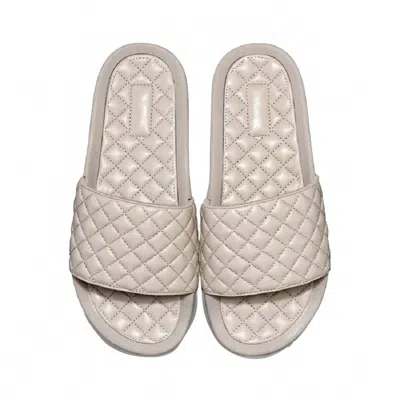 Apl Athletic Propulsion Labs Women's Lusso Slide Sandal In Clay Grey In Silver