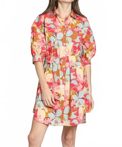 APNY BELTED PUFF SLEEVE DRESS IN GARDEN PARTY PRINT