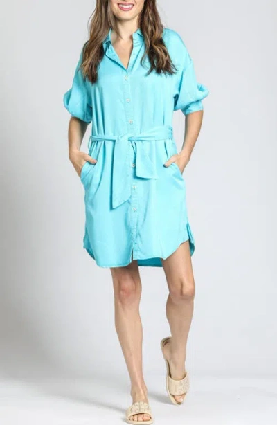 Apny Belted Shirtdress In Capri