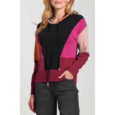 Apny Colorblock Sweater Hoodie In Multi