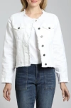 Apny Frayed Collarless Denim Jacket In White