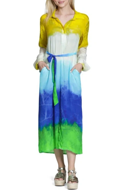 Apny Mix Print Long Sleeve Dress In Multi