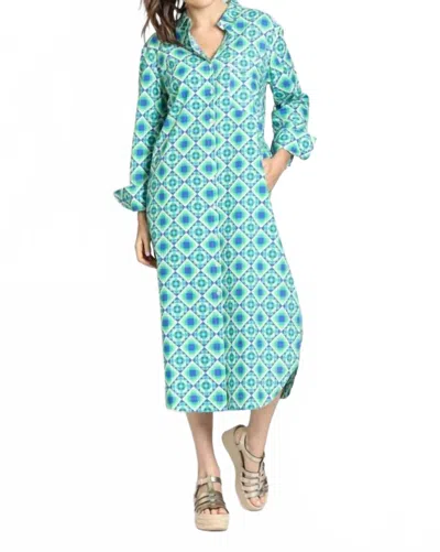 Apny Printed Shirt Dress In Blue Multi In Green
