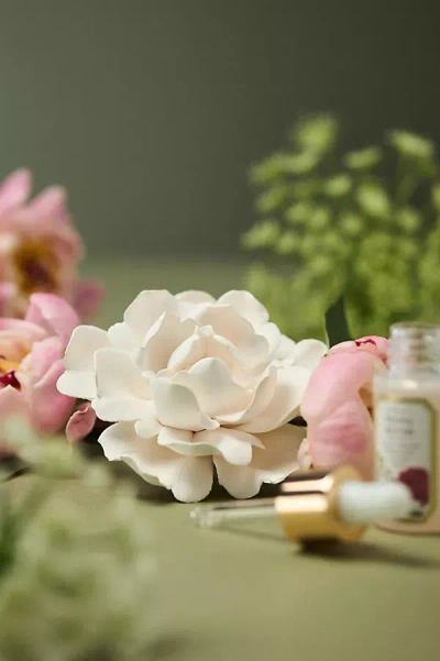 Apothecary 18 By Anthropologie Apothecary 18 Ceramic Peony Flower Fragrance Diffuser