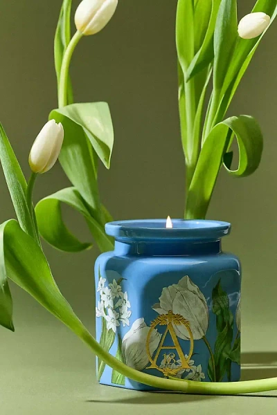 Apothecary 18 By Anthropologie Apothecary 18 Floral Tulip Fields Ceramic Candle
