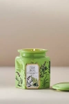 Apothecary 18 By Anthropologie Apothecary 18 Fresh Fern Moss Ceramic Jar Candle In Green