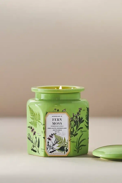 Apothecary 18 By Anthropologie Apothecary 18 Fresh Fern Moss Ceramic Jar Candle In Green