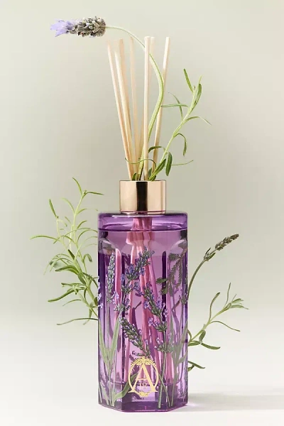 Apothecary 18 By Anthropologie Apothecary 18 Fresh Lavender Balsam Glass Reed Diffuser