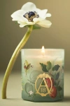 Apothecary 18 By Anthropologie Apothecary 18 Spice Orchard Woods Boxed Glass Candle