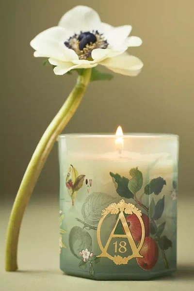 Apothecary 18 By Anthropologie Apothecary 18 Spice Orchard Woods Boxed Glass Candle