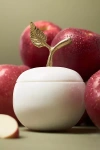 Apothecary 18 By Anthropologie Apothecary 18 Spice Orchard Woods Hand-carved Apple Marble Candle
