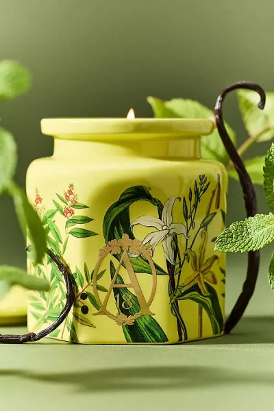 Apothecary 18 By Anthropologie Apothecary 18 Woody Sandalwood & Vanilla Ceramic Candle