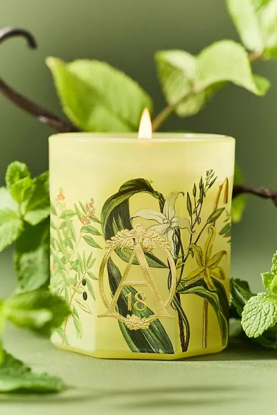 Apothecary 18 By Anthropologie Apothecary 18 Woody Sandalwood & Vanilla Glass Candle