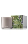Apotheke Black Iris Oak 3-wick Candle In Grey