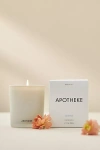 APOTHEKE CANVAS BOXED CANDLE