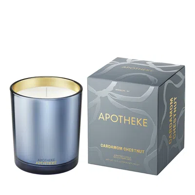 APOTHEKE CARDAMOM CHESTNUT CLASSIC SCENTED CANDLE, 10.5 OZ.