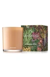 Apotheke Cedarwood Ginger Classic Candle In Orange