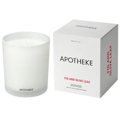 Apotheke Fig And Olive Leaf Classic Scented Candle In Gray