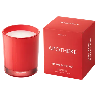 Apotheke Fig And Olive Leaf Petite Scented Candle In Red