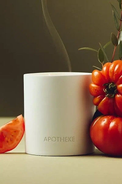 Apotheke Garden Tomato Tarragon Boxed Candle In White
