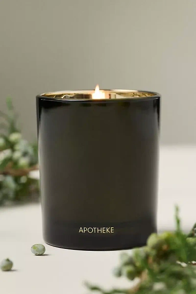 Apotheke Petite Juniper Birch Boxed Glass Candle In Black