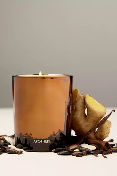 Apotheke Petite Pumpkin Ginger Boxed Glass Candle In Brown