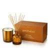 Apotheke Pumpkin Ginger Classic Candle 10.5 Oz. & Reed Diffuser 6.7 Oz. Set - 100% Exclusive In Brown