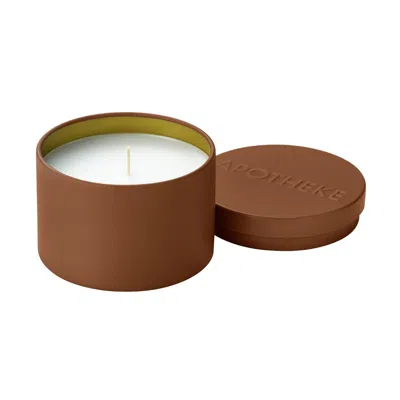 Apotheke Pumpkin Ginger Mini Scented Candle Tin (limited Edition)