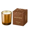 Apotheke Pumpkin Ginger Petite Scented Candle In Gold