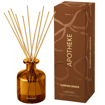 Apotheke Pumpkin Ginger Reed Diffuser
