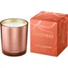 Apotheke Sea Salt Grapefruit Classic Scented Candle In Multi