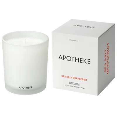Apotheke Sea Salt Grapefruit Scented Candle - 10.5 Oz. Classic Scented Candle In White