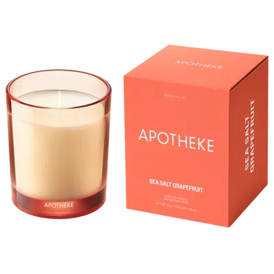 Apotheke Sea Salt Grapefruit Scented Candle - 5 Oz. Petite Scented Candle In Orange