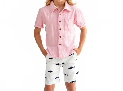 Appaman Kids' Beach Knit Shirt In Chalk Pink