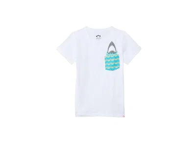 Appaman Day Trip T-shirts (toddler/little Kid/big Kid) Boy's T Shirt White : 8 Big Kid, Cotton