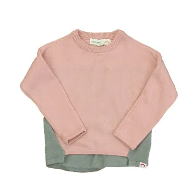 Pre-owned Appaman Kids' Girls Pink Grey Sweater In Purple