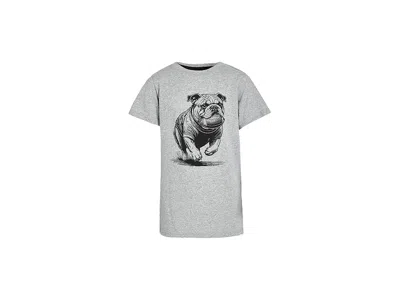 Appaman Graphic Short Sleeve T-shirts (toddler/little Kid/big Kid) Boy's T Shirt Grey Heather : 8 Little Kid In Gray