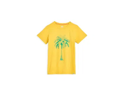 Appaman Graphic Short Sleeve T-shirts (toddler/little Kid/big Kid) Boy's T Shirt Yellow : 8 Little Kid, Cott