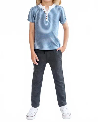 Appaman Kids' Hilltop Henley Top In Blue Stripe In Multi