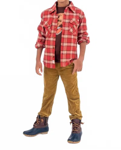 Appaman Kid's Skinny Cords Jeans In Wood Thrush In Brown