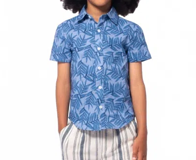 Appaman Kid's Summer Party Shirt In Blue In Multi