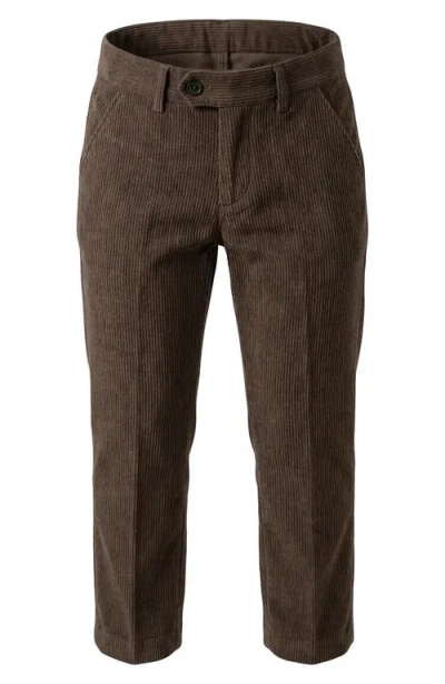 Appaman Kids' Suit Pants In Brown