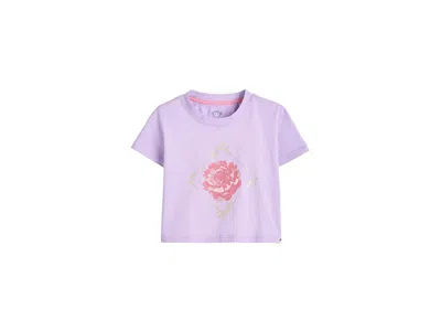 Appaman Lillian Boxy T-shirts (toddler/little Kid/big Kid) Girl's T Shirt Lavender : 10 Big Kid, Cotton In Purple