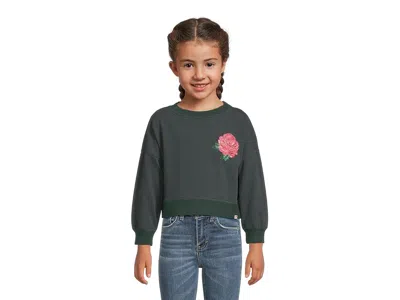 Appaman Lisa Cropped Sweatshirt (toddler/little Kids/big Kids) Girl's Sweatshirt Moss : 3 Toddler, Cotton/sp In Green