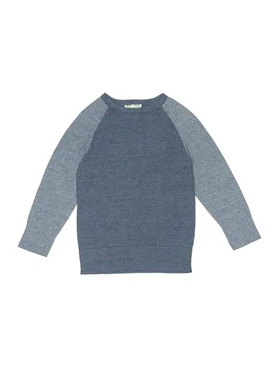 Pre-owned Appaman Kids' Pullover Sweater In Blue